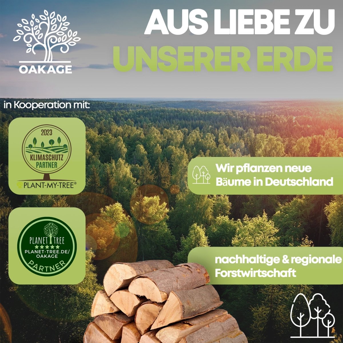 30 kg Buche - kammergetrocknetes Kaminholz - OAKAGE