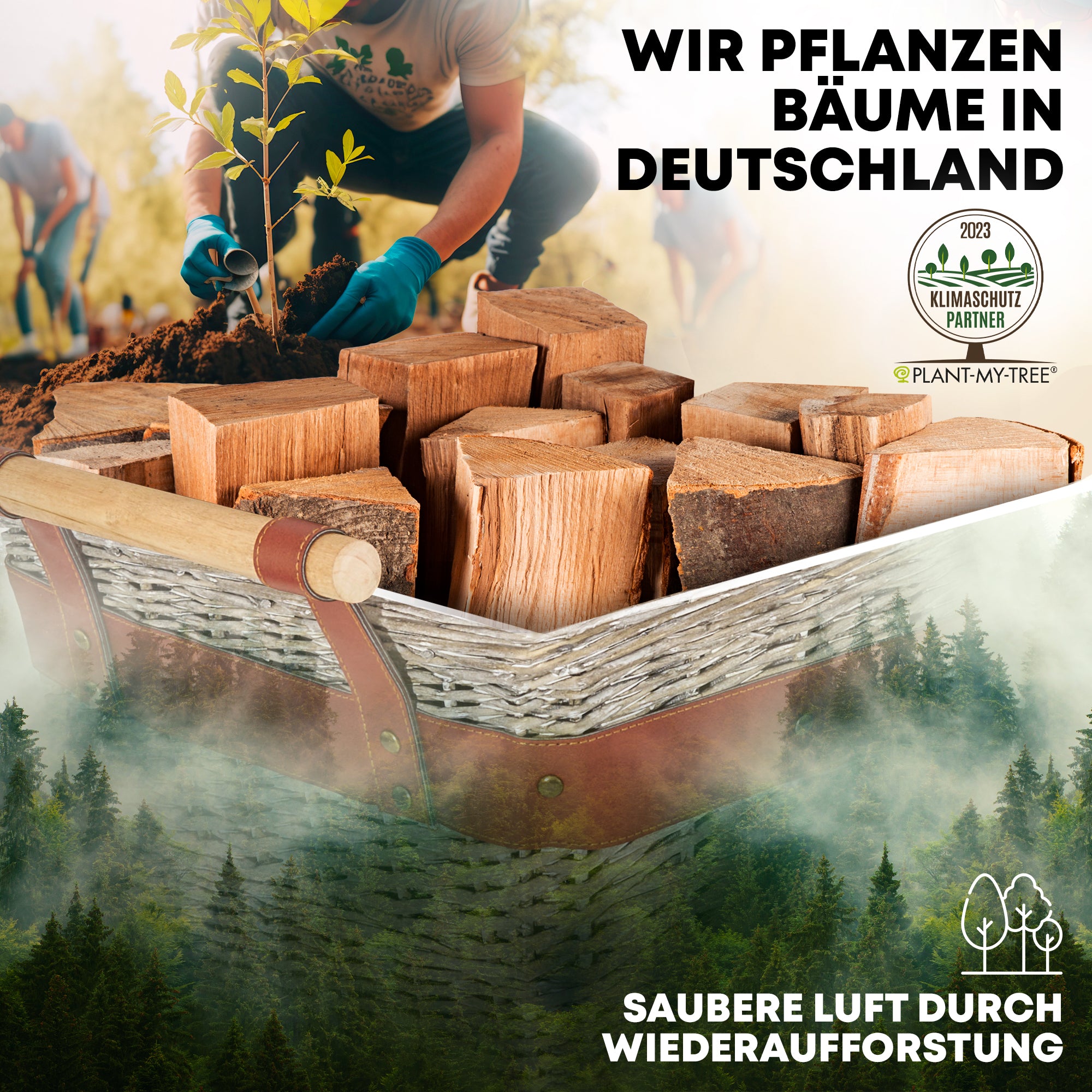 WillowWrap Holzkorb - Robust und ausreißsicher!